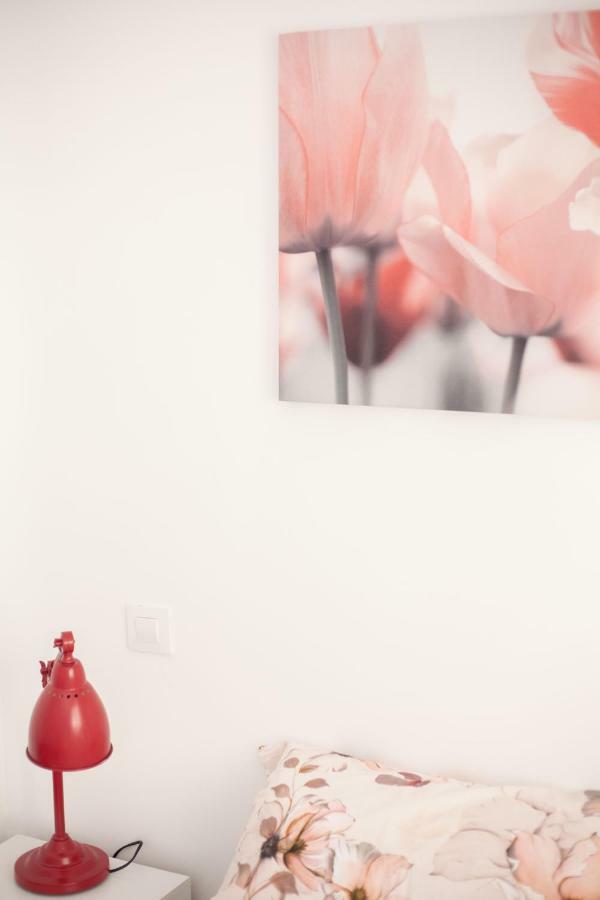 Apartamentos El Paraiso Logrono Bagian luar foto